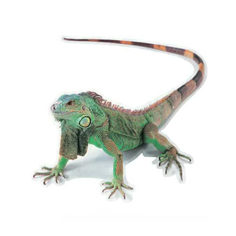 3D PVC Car Sticker Lizard Scorpion Spider Car Body Window Sticker Decal Car Styling