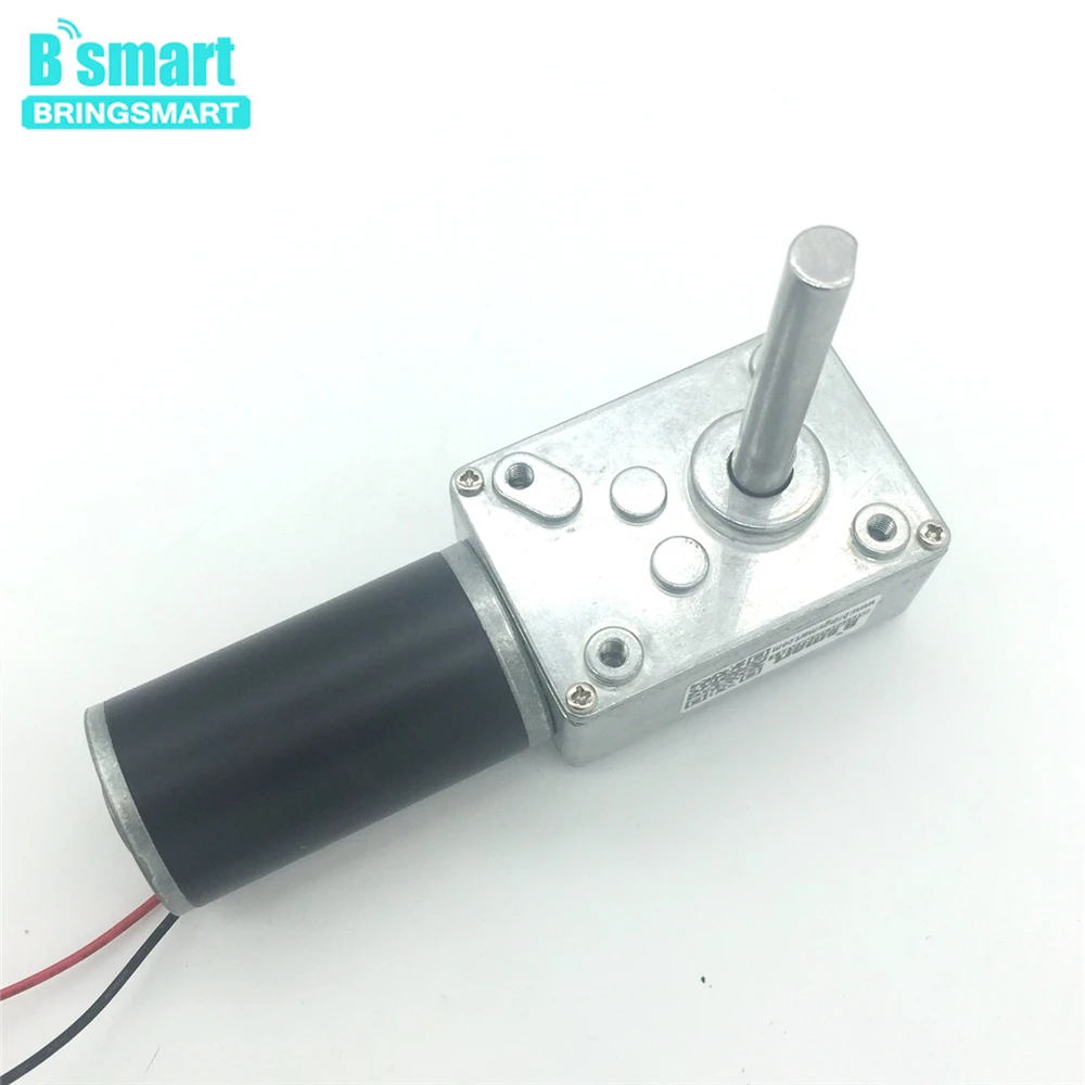 

Bringsmart 12V 24V Micro Motor Reversed Reduction Motor Self-lock Extension Shaft Motor Worm Gearbox Motor High Torque 5840-31ZY