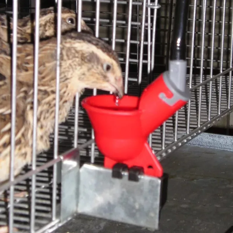 

New Arrival 4 Pcs Poultry quail Chicken Waterer Nipple, The trough automatic type cup to complete bird cages Free Shipping