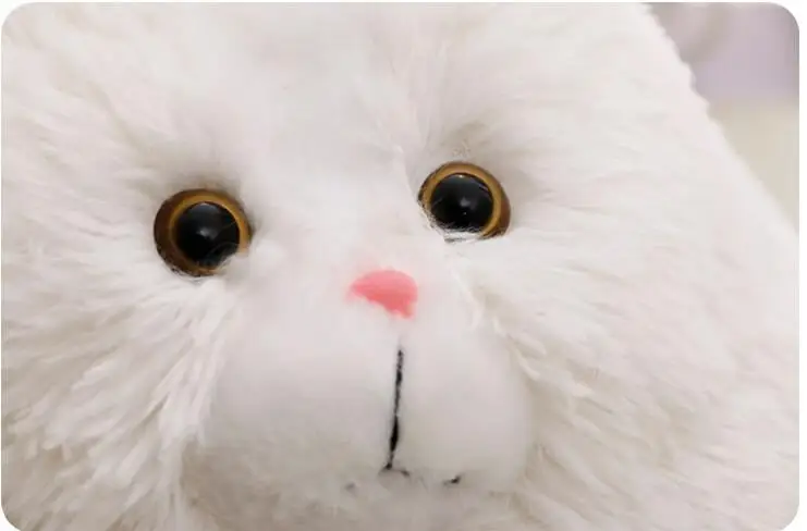 QQ20171123182435