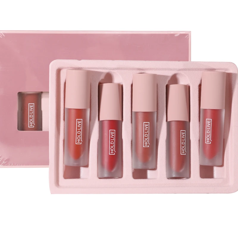 

Holdlive Hot Sales Waterproof Matte Velvet Glossy Lip Gloss Lipstick Lip Balm Tint 5Colors Women Fashion last long Makeup Gift