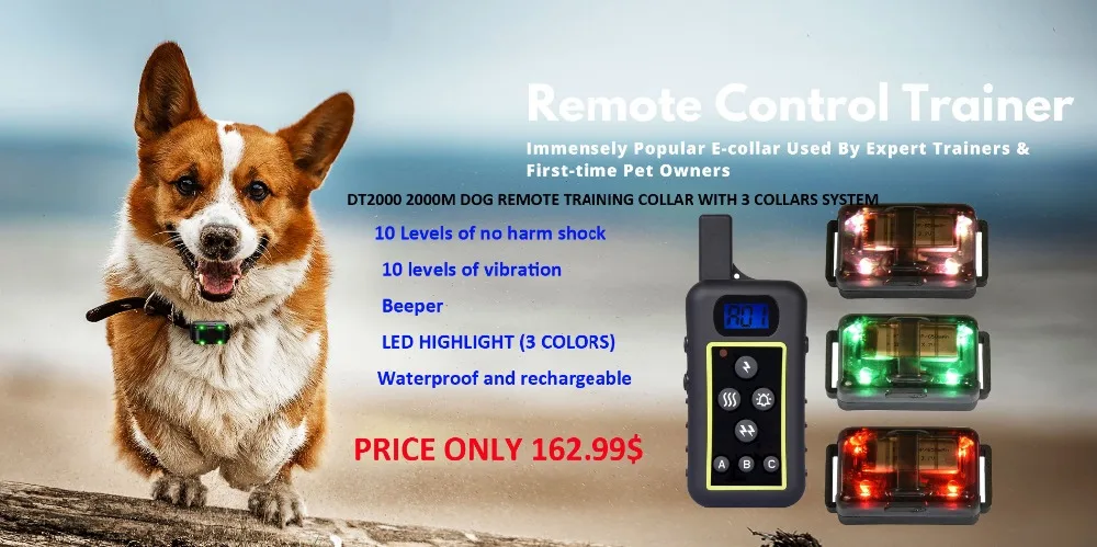 DT-2000-remote-control-trainer-3