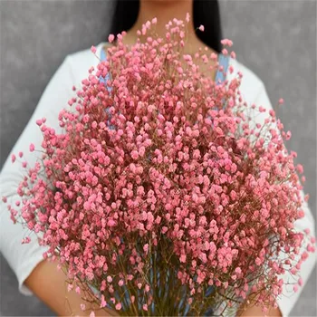 

1 Bundle 45-50CM DIY Gypsophila Flower Wedding Party Photo Props Pure natural plant Dried Flowers Cafe Library Home decoration