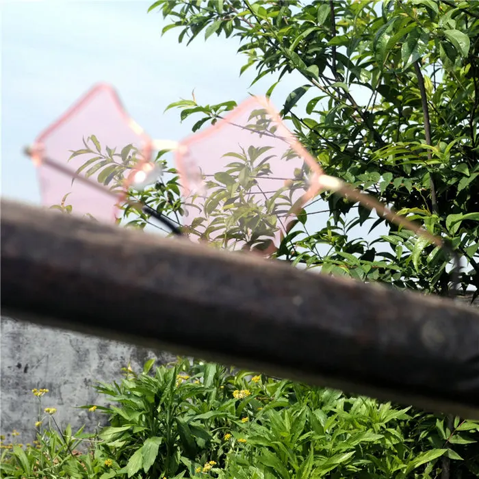 DSC_0965