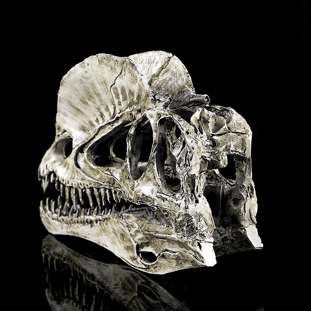 Dinosaur Skull Replica Skeleton Model Aquarium Ornament Antique Yellow