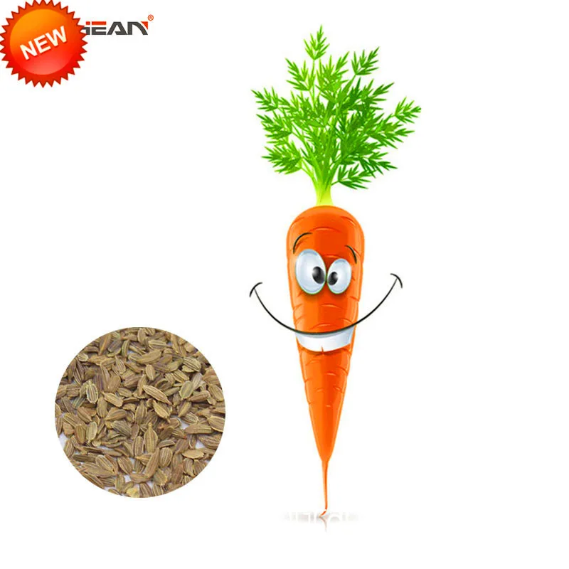

Sale!NEW Pack 200 PCS/Lot Carrot bonsai Potted Fruit and Vegetable garden Carrots,#FC4J8H