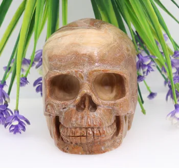 

4.29" 853g NATURAL JASPER Handmade Carved Crystal Skull Crystal Realistic Crystal Healing Furnishing Articles Figurine TC96