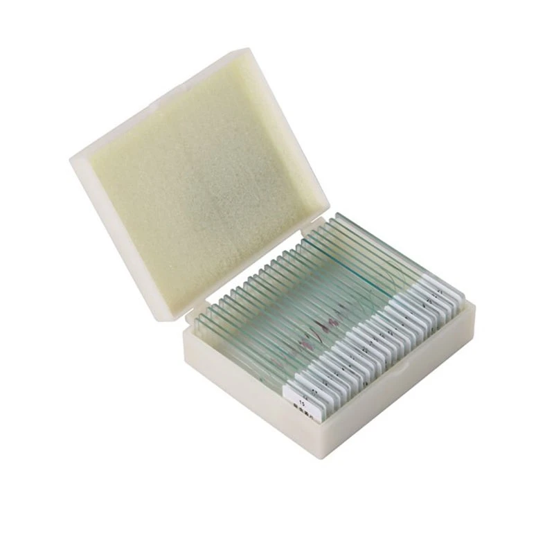 25pcs Professional Glass Prepared Microscope Slides For Kids School Laboratory Education Microscope Slides Prepared Microscope Slidesmicroscope Prepared Slide Aliexpress