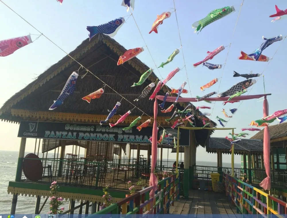 Koinobori Koi Nobori Carp Windsocks Streamers Fish Flag Med Kite 5 шт. 40 см 3 55 70 150 см|kite kites|kite 4kite windsock |
