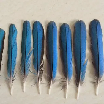 

10pcs precious beautiful Kingfisher feathers 8-10CM , in various headdress, earrings, brooches, necklaces accessories feathers