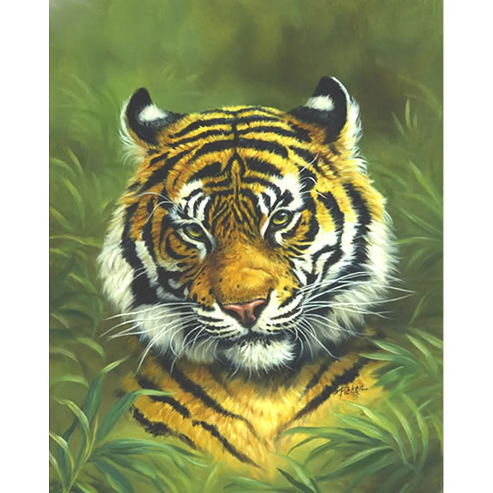 Diamond Painting Full drill square/round Tiger in grass Mosaic DIY Cross Stitch Embroidery Home Decor | Дом и сад