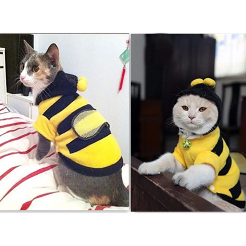 Goede 1 stks Huisdier Kleding Leuke Bijen Hond Kat Kleding Soft Fleece Teddy Poedel Hond Kleding Pet Product Supplies Accessoires 7z ca217