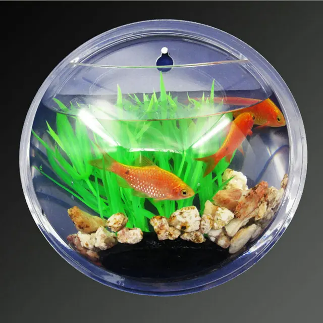 Wall Mounted Aquarium Fish Tank Hanging Bowl Plant Home Decoration Wall Mounted Aquarium Fish Tank Hanging Bowl Plant Home Decoration Transpa