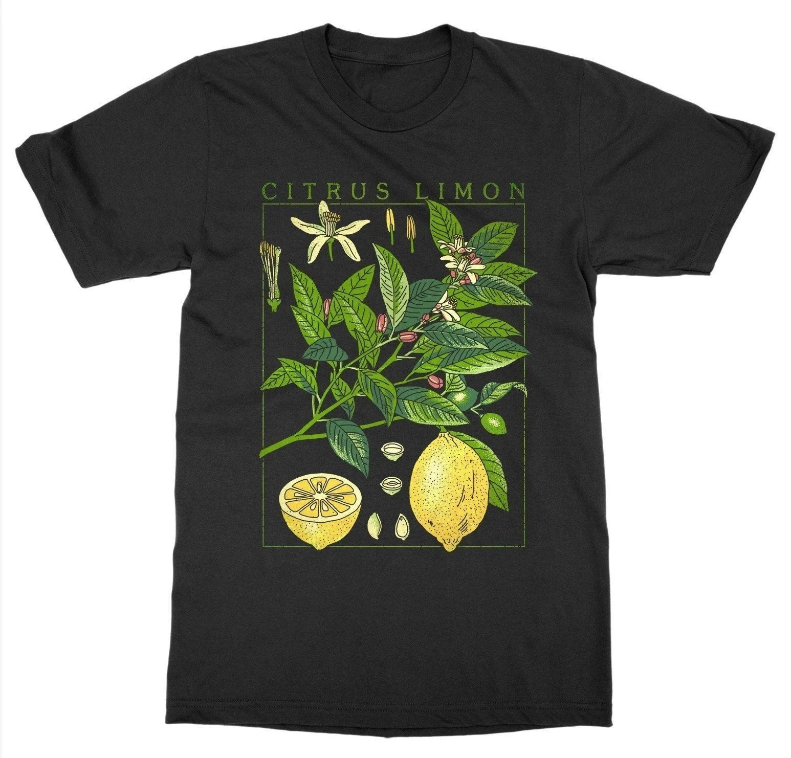 

Sunfiz HJN Short Sleeve Lemon T-Shirt Botanical Garden Plant Art Botany Bloom Fruit Flower Growfishing T Shirts
