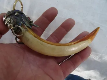 

Lion a package boar tooth enamel antique town house to ward off bad luck