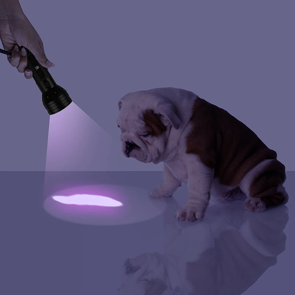 УФ светодиодный фонарик 51leds 395nm ультрафиолетовый фонарик лампы Blacklight детектор для собак мочи животное Красители и кровать ошибки