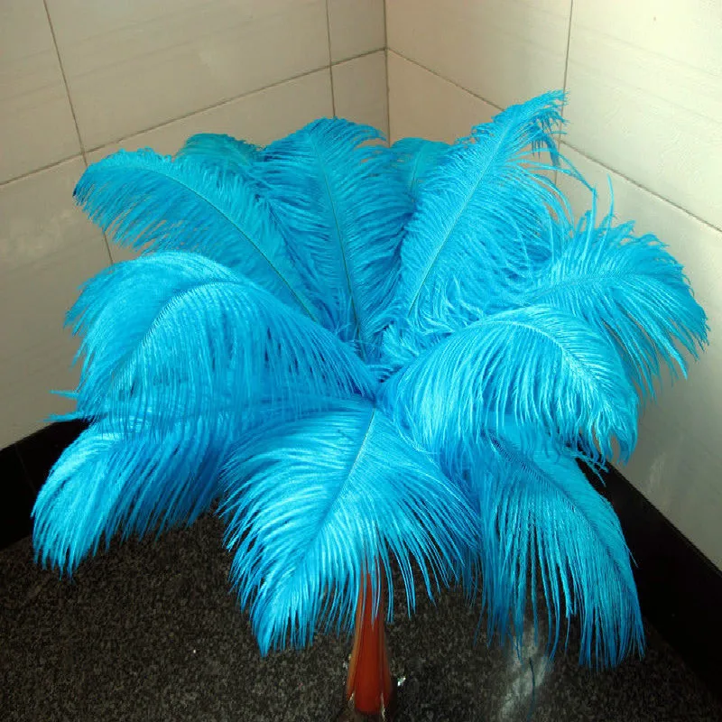 

HOT! 50pcs/lot 50-55cm/20-22"Lake blue ostrich feather plume wedding decoration black feather ostrich plumage Free shipping