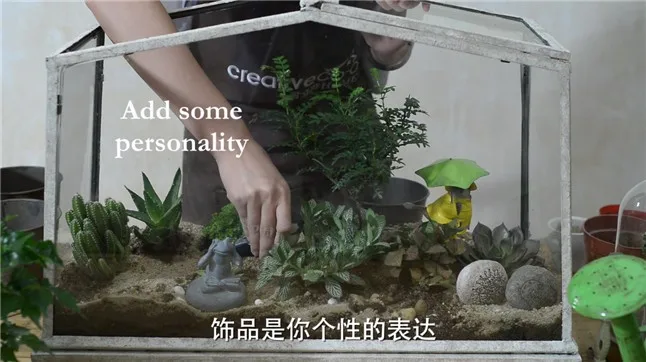 Terrariums11