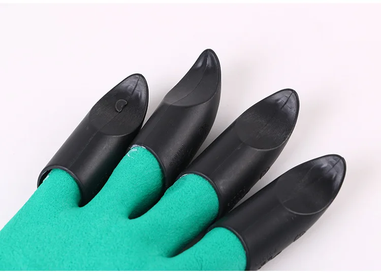 4444515906_904757506