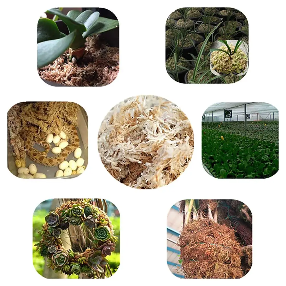 

Water Moss Dry Moss Phalaenopsis Orchids Soilless Cultivation Substrate Soil 12L Compressed Pack