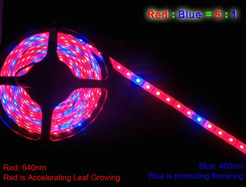 GBKOF 5M LED Plant Grow Lights grow strip Waterproof 5050 Hydstems growing 300LEDs Full spectrum Growth plant light Red Blue 41(15)