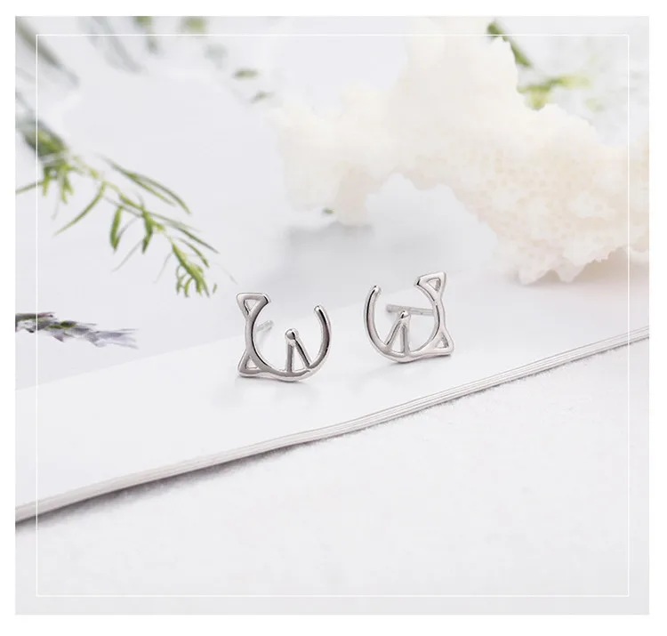 9253757479_823318017