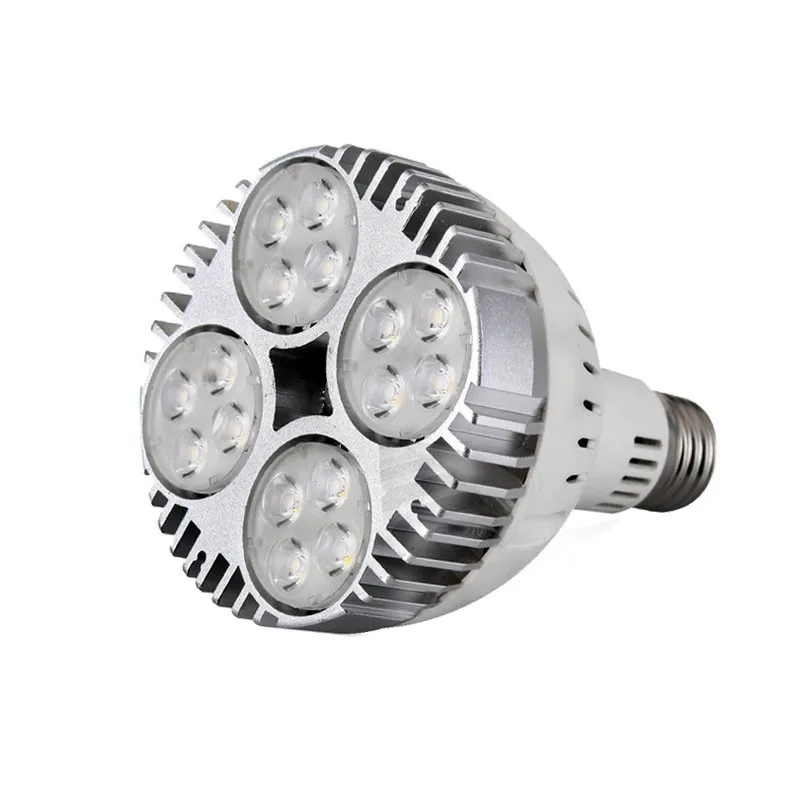 PAR30 Bulb