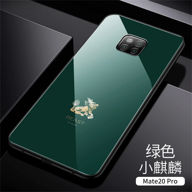 Tempered Glass Phone Case For Huawei Mate 20 (20)