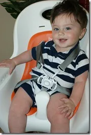 Boon Flair High Chair HARNESS