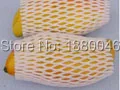 FHADCEPEFN00124=7