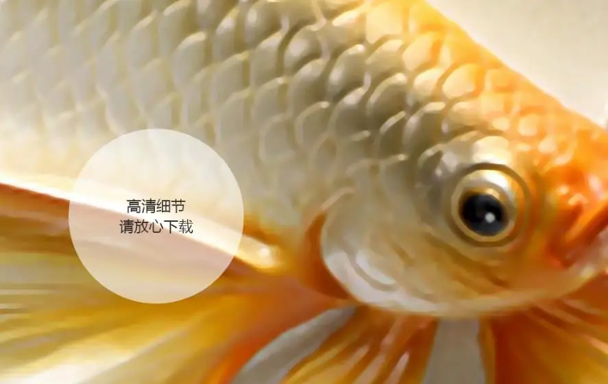 360截图20180221214114815