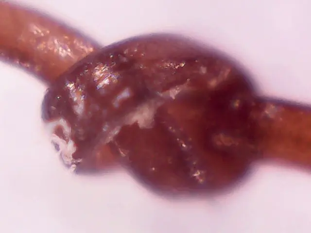 1000X-