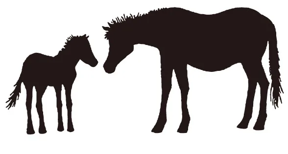 

Horse Transparent Clear Stamps for DIY Scrapbooking/Card Making/Kids Christmas Fun Decoration Supplies