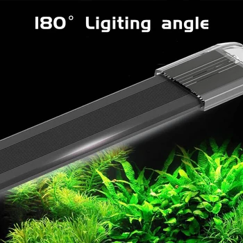 

LDP High Light Transmission Fish Tank Lamp Water Lamp LED Light Waterproof Aquarium Lighting LED Bracket Light