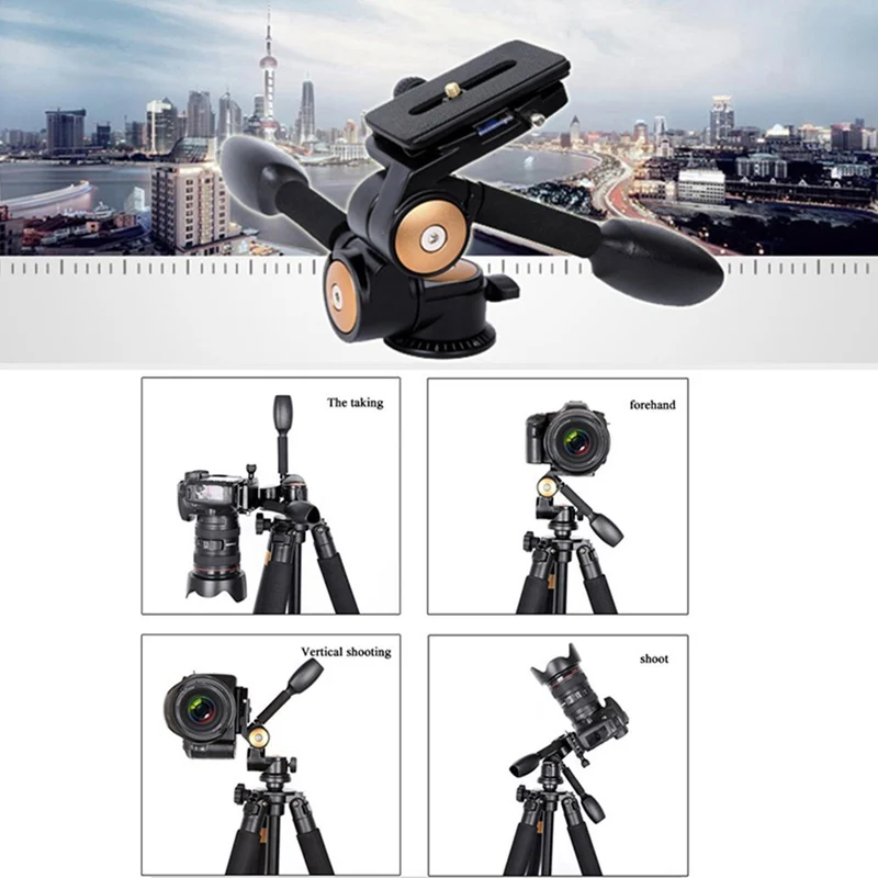 61nqdaeR4VL._SL1001_