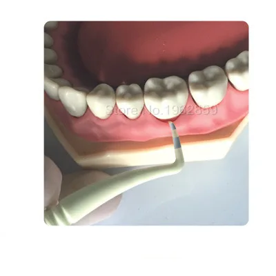 2 шт./лот стоматологический периодонтальный зонд с аппарата для снятия зубного камня Explorer инструмент Эндодонтический Stailess Сталь исследователь и смолы зонд весы