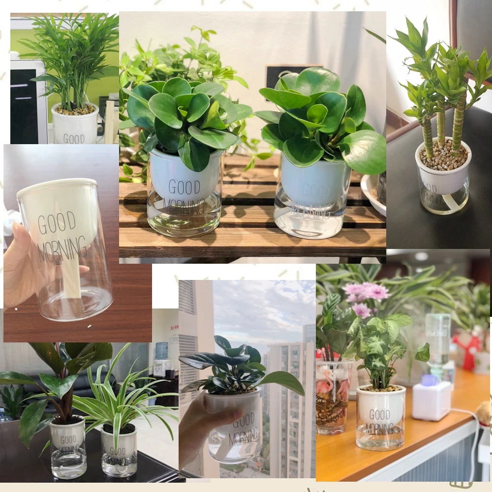 Poitemsic personalità ceramica bianca vaso piante grasse cactus viso piccolo testa viso fiori vasi per piante vaso