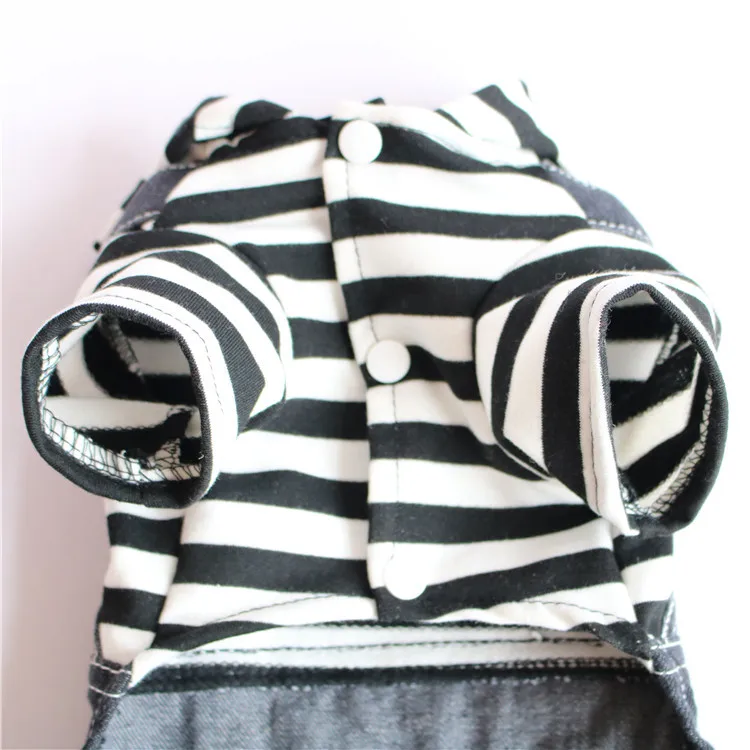 10471829511_289572969