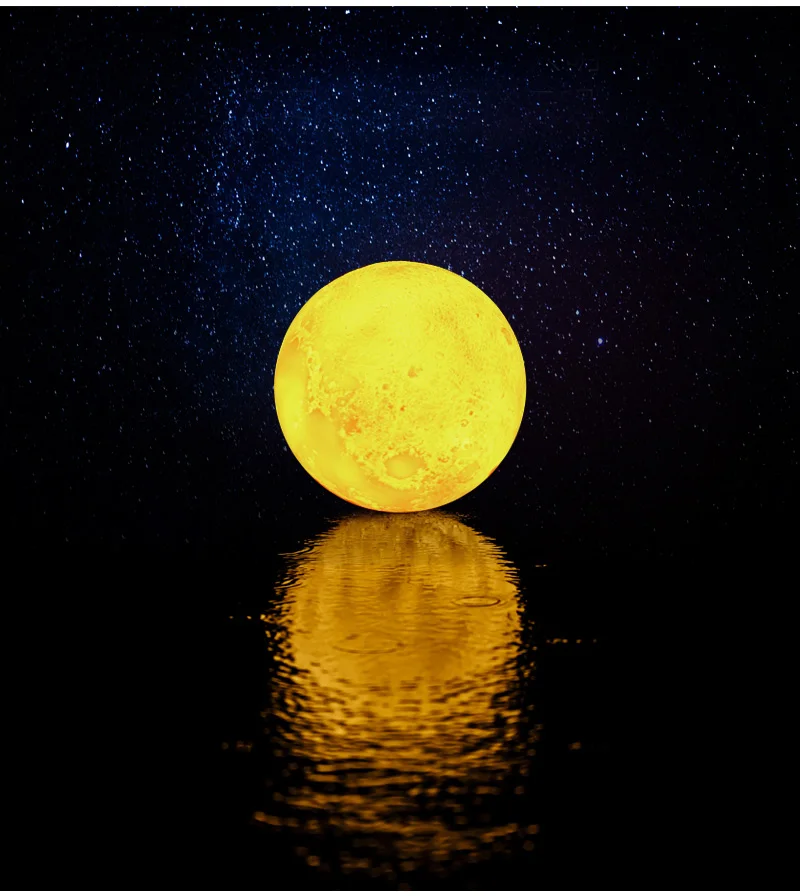 16-K-H256_18