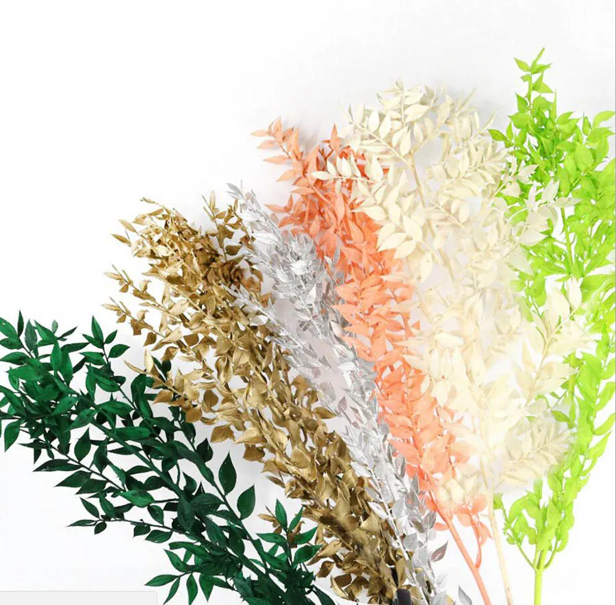 

Wholesale 10 Bundles Preserved Dried Ruscus Branch Flower For Craft Gift Material Accessory Decoration Flower Arranging DIY