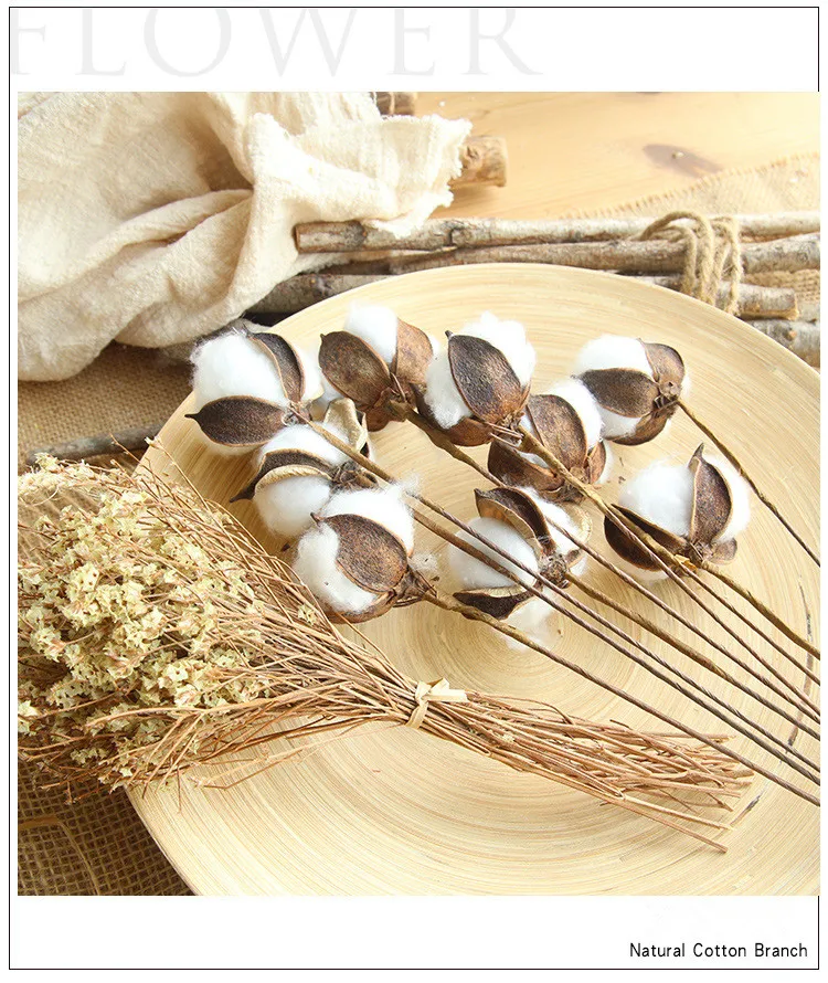 HTB1vcNcmFooBKNjSZPhq6A2CXXaE