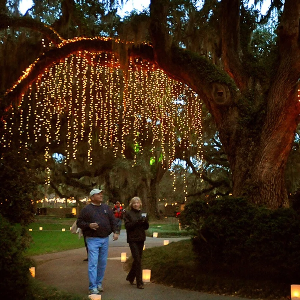 81FfuJIXiRL._SL1300_