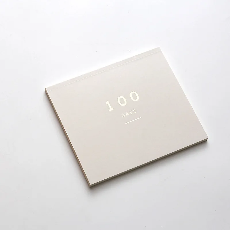 BLINGIRD ежедневный блокнот 100 ежедневный план Корейский простой стиль график основа эффективность ручной поверхности милый планировщик канцелярские принадлежности - Цвет: Grey 100