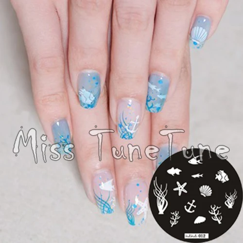 New Stamping Plate Hehe12 Ocean Marine Animal Shell Starfish Nail New Stamping Plate hehe12 Ocean Marine Animal Shell Starfish Nail Art Stamp Template Image Transfer Stamp - New Stamping Plate Hehe12 Ocean Marine Animal Shell Starfish Nail