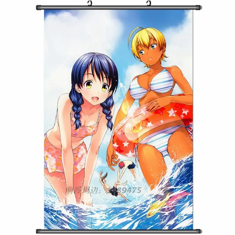 Японские декоративные картинки аниме Shokugeki no Soma Megumi Tadokoro & Rei Kawashima домашний декор