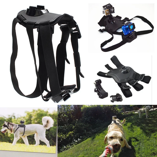 Wholesale Dog Harness Chest Strap Belt +Mount +J Hook action camera accessories fit for Xiaomi Yi GoPro Hero 4 3+ 3 SJ cams free shipping Buy Cheap Dog Harness Chest Strap Belt +Mount +J Hook action camera accessories fit for Xiaomi Yi GoPro Hero 4 3+ 3 SJ cams free shipping