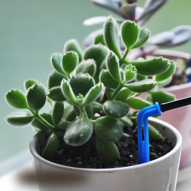 Mobile phone control Intelligent garden automatic watering device Succulents plant Drip irrigation tool water pump timer system Mobile phone control Intelligent garden automatic watering device Succulents plant Drip irrigation tool water pump timer system