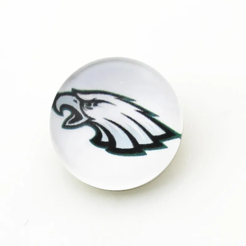 Philadelphia Eagles NFL Team