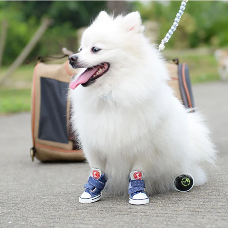 Dog shoes02