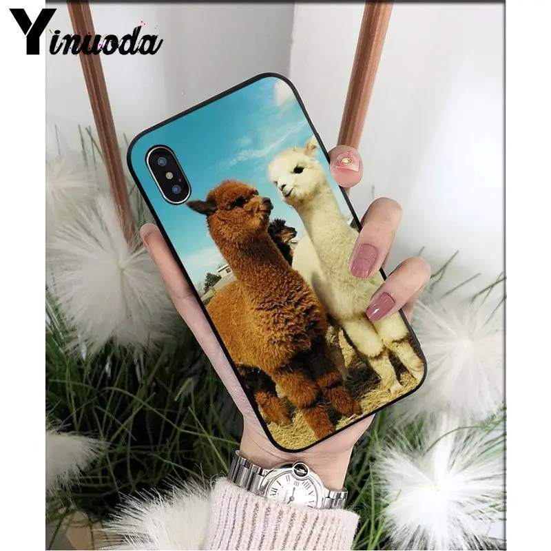 Yinuoda лама Alpacas животное умный чехол черный мягкий чехол для телефона для iPhone X XS MAX 6 6S 7 7plus 8 8Plus 5 5S XR - Цвет: A16